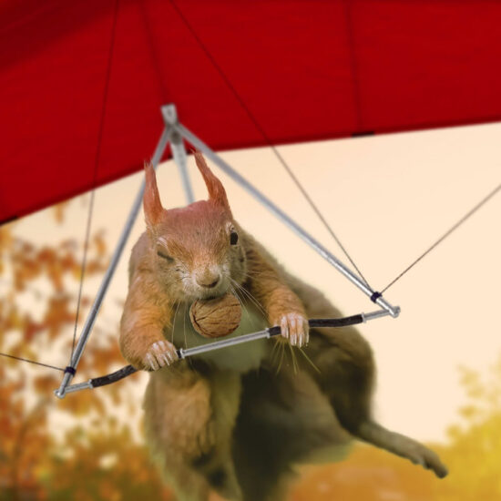 Ein fliegendes Eichhörnchen ist der Werbebotschafter für das Girokonto für Nachwuchskunden