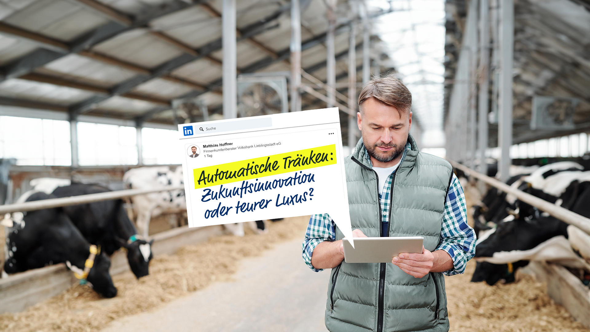 Ein Landwirt schaut sich auf seinem ipad einen LinkedIn-Beitrag zum Thema "Automatische Tränken: Zukunfsinnovation oder Luxus" an.