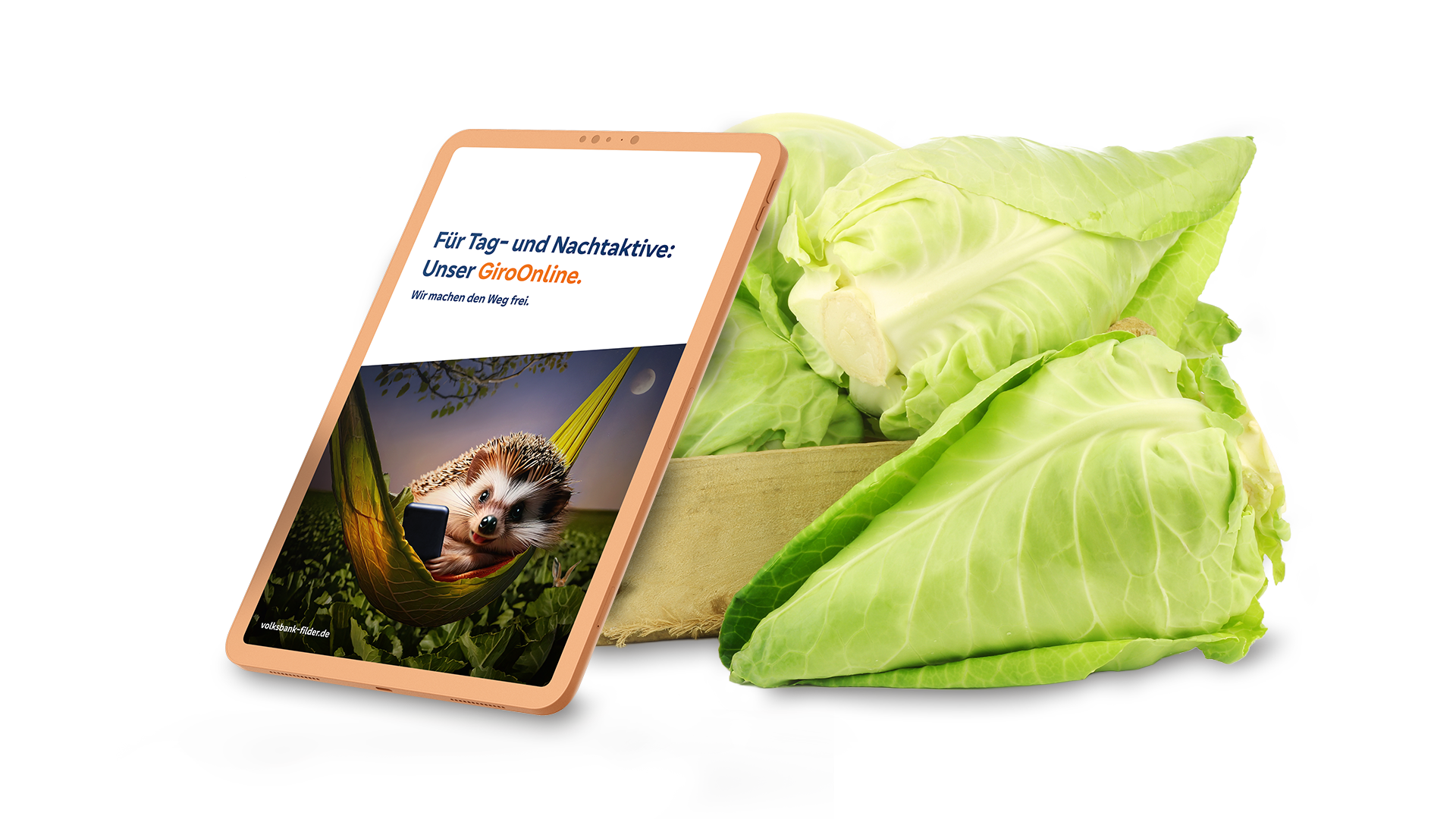 Tablet mit dem Igelmotiv zur Onlinekampagne lehnt an einer Kiste gefüllt mit Spitzkohl
